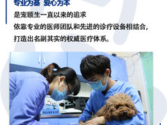 -宠颐生宠物医院(·宠保定点·鹰潭分院)