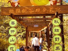 -大岭沟猕猴桃谷风景区