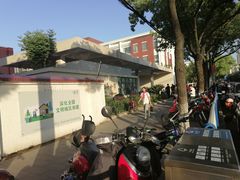 -上海市松江区九里亭外国语实验学校