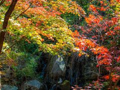 -九如山休闲旅游度假区