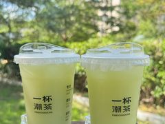 -一杯潮茶·专注潮汕茶饮(十二中创始店)