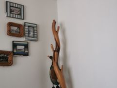 -风雅老树咖啡(福州路店)