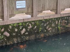 -墨池公园