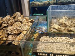 -九月海·海鲜自助(世纪东方店)