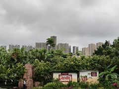 -中澳友谊花园