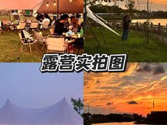 -栖露营camping·天幕烧烤·团建拓展·采摘营地