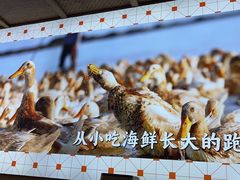 -虎婆冷饮店·海南特色炒冰(三亚湾店)