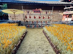 -初溪土楼群