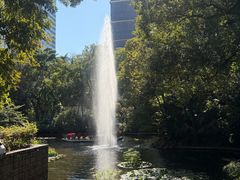 -九龙公园