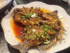 -草墩罗非鱼庄•野生菌•腊排骨(七星街上段店)