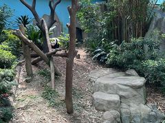 -河川生态园