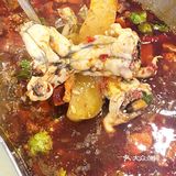 🍲二郎田鸡YYDS‼️