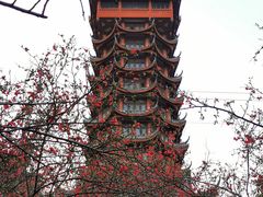 -塔子山公园
