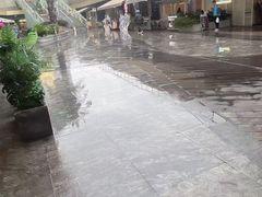 -上海世纪汇广场