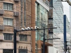 -王家沙点心店(南京西路总店)