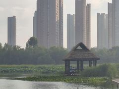 -前关湿地公园