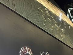 -远洋未来汇