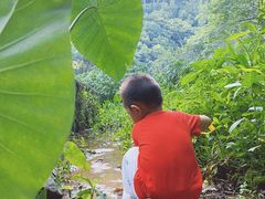 -火炉山森林公园