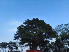 -高榜山景区