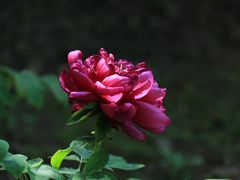-江南大学(蠡湖校区)