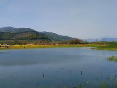 -径山花海