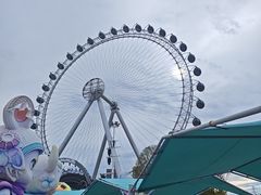 -海合安武汉极地海洋公园