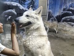 -石林冰雪海洋世界