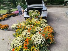 -上海共青森林公园