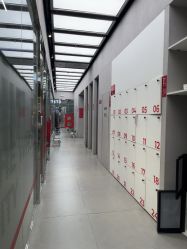 -跳动全城舞蹈