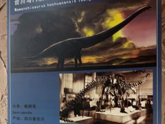 -世界恐龙谷景区