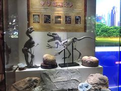 -河源客天下-温泉小镇