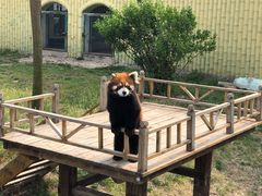 -青岛森林野生动物世界