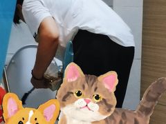 -红蕾家政·保姆·育儿嫂·钟点工