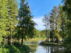 -森波拉火山温泉