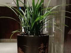 -豫满楼(郑东新区店)