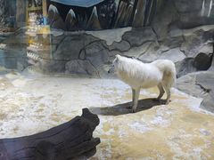 -海合安成都极地海洋公园