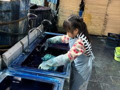 -璞真扎染博物馆