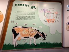 -君乐宝优致牧场