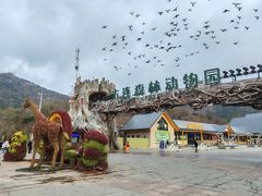 -大连森林动物园