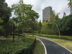 -新江湾城公园