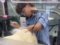 -宠物家(长阳店)