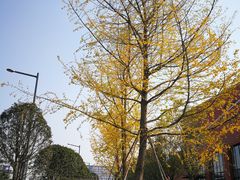 -西南民族大学南区(双流校区)