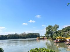 -溱湖国家湿地公园