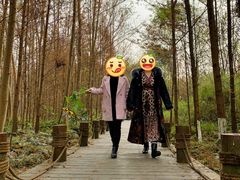 -桤木河湿地公园