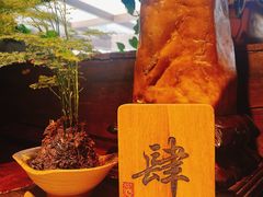-普洱茶府(博乐广场店)