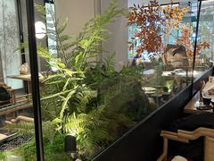 -绿茶餐厅(青岛城阳万象汇店)