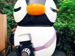 -九龙公园