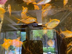 -KARN敢·春武里泰国小餐馆(版筑翠园店)