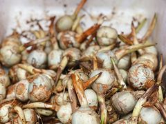 -北京清河镇农副产品交易市场中心