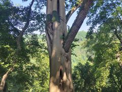 -丰都鬼城名山景区